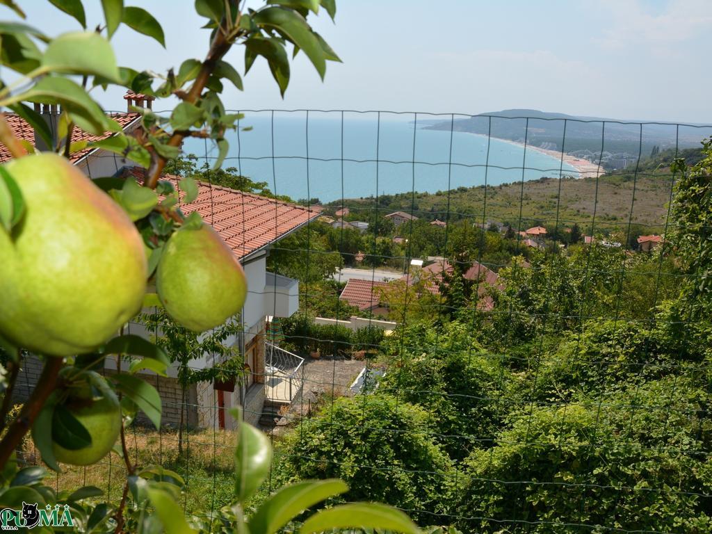 Villa Puma Балчик Номер фото